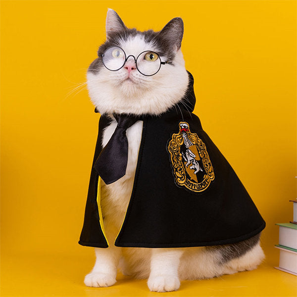 Pet Magic Cloak with Tie and Glasses