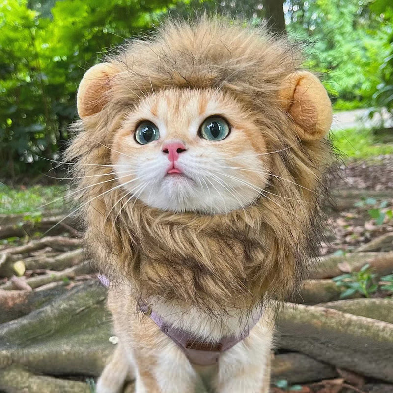 Cute Lion Mane Cat Wig Hat